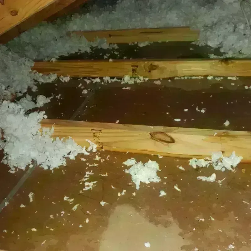 Attic Water Damage in Irvine, CA